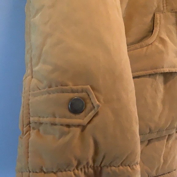 Cute Yellow Jacket - Picture 6 of 11